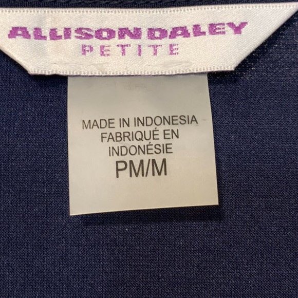 🎉HP🎉Allison Daley Women Blue & White Shirt SZ PM/M Scoop Neckline 3/4 Sleeve - Picture 3 of 11